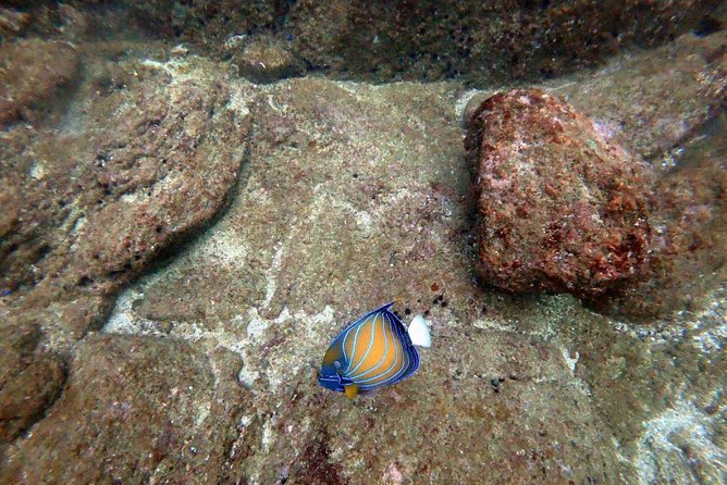 Scuba Diving in Unawatuna - Timing, meeting point, and the simple logistics that matter