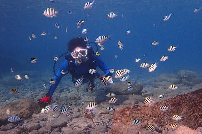Scuba diving in Yakushima! (Guided Fun Diving for Licensed Guests) - Guides, language, and why practice time counts