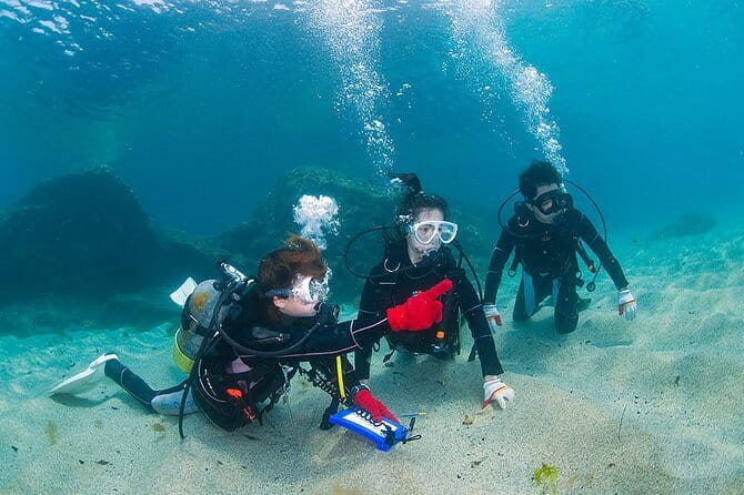 Scuba diving in Yakushima! (Guided Fun Diving for Licensed Guests) - Lunch, coffee/tea, and what happens after you’re done