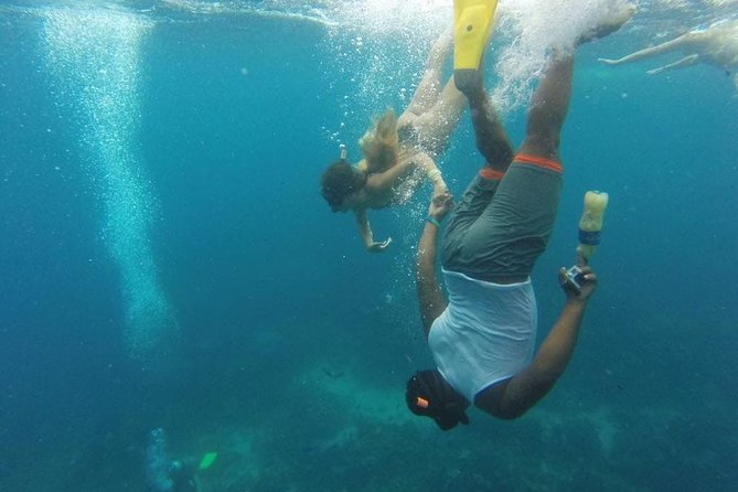 Scuba Diving on Catalina Island | 2 tanks, 2 spots - What’s Actually Included (and What You Should Plan for)