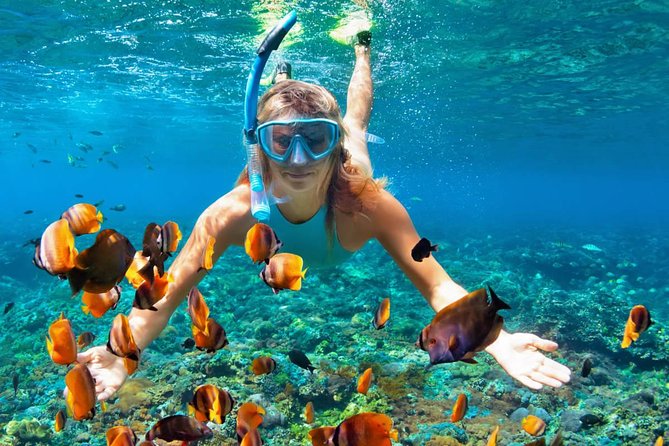 Scuba Diving on Catalina Island | 2 tanks, 2 spots - Second Underwater Session: The Wall Depth Rules and What to Expect