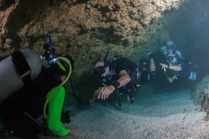 Scuba Diving Puerto Vallarta Undersea Arcos or Marietas - Boat ride timing and winter wildlife odds