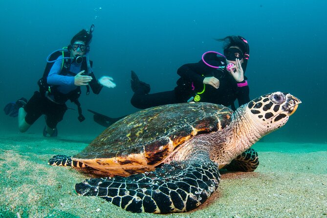 Scuba Diving Puerto Vallarta Undersea Arcos or Marietas - What to bring, plus safety and comfort basics