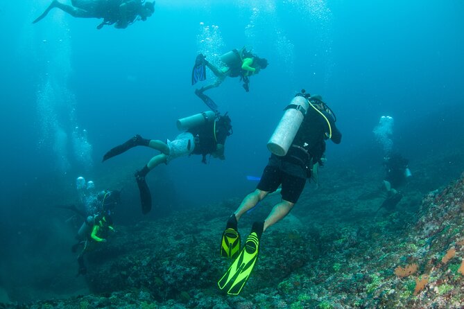 Scuba Diving Puerto Vallarta Undersea Arcos or Marietas - Who should choose Marietas vs Los Arcos (and who should avoid this plan)