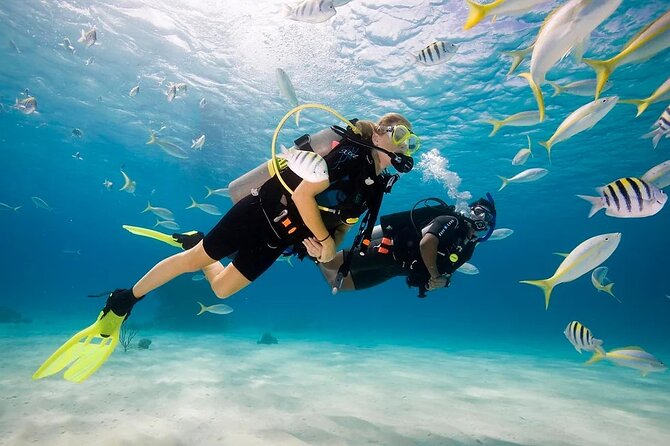 Scuba Diving Sea Trip with Lunch and Transfer from Hurghada - Key Highlights at a Glance