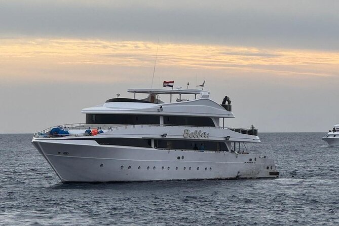 Scuba Diving Sea Trip with Lunch and Transfer from Hurghada - Hurghada Pickup and the Morning Flow