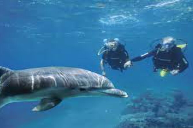 Scuba Diving Sea Trip with Lunch and Transfer from Hurghada - Getting Ready for Your First Underwater Session