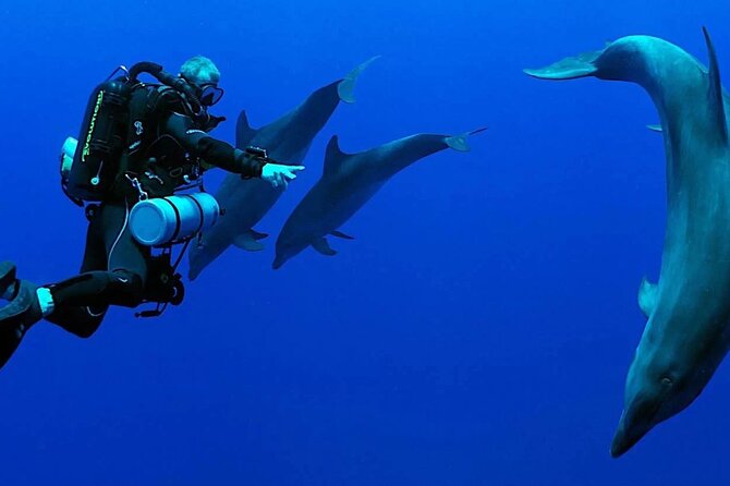 Scuba Diving Sea Trip with Lunch and Transfer from Hurghada - What You’ll See in the Red Sea Waters