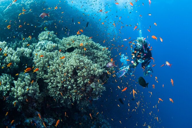 Scuba Diving Sea Trip with Lunch and Transfer from Hurghada - Deck Time, Snorkeling Breaks, and the Easy Rhythm