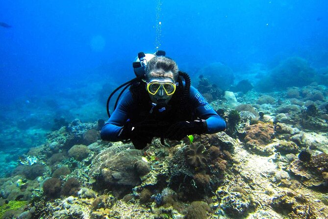 Scuba Diving Sea Trip with Lunch and Transfer from Hurghada - Guides Who Keep Things Calm: Fady, Alaa, and Mina
