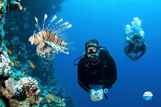Scuba Diving Sea Trip with Lunch and Transfer from Hurghada - Price and Value: What You’re Really Paying For
