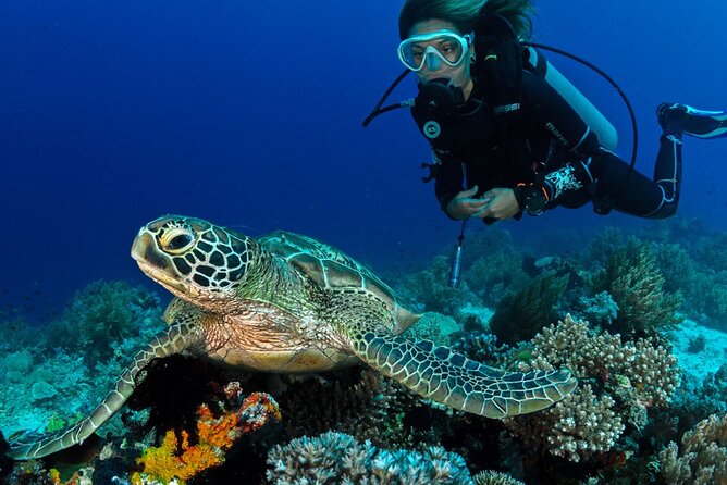 Scuba Diving to Dimaniyat Islands Muscat Oman - Key Things You Should Know Before You Go