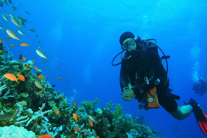 Scuba Diving to Dimaniyat Islands Muscat Oman - The 5-hour schedule from Seeb and why the timing works