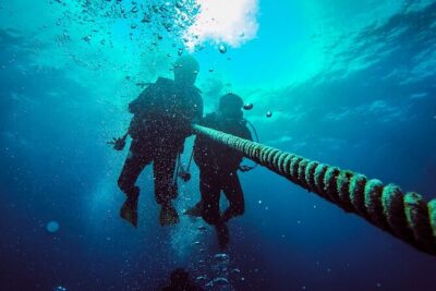 Scuba Diving to Dimaniyat Islands Muscat Oman - What you’ll see underwater: coral gardens, reef walls, and pelagic life