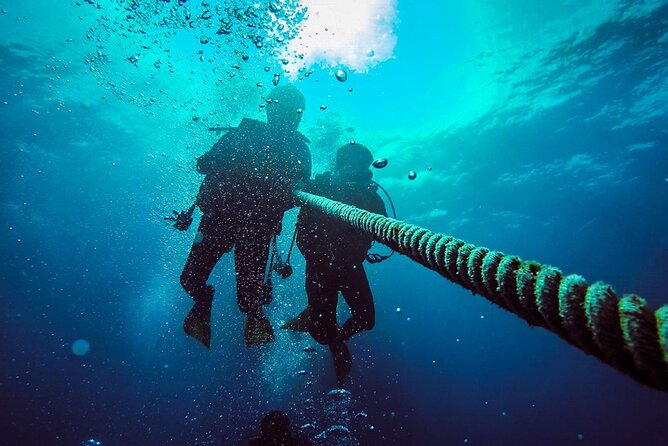 Scuba Diving to Dimaniyat Islands Muscat Oman - What you’ll see underwater: coral gardens, reef walls, and pelagic life