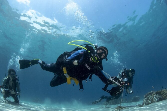 Scuba Diving Tour - Price and logistics: why this $54.19 price can feel fair