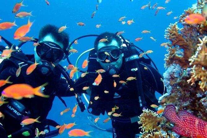 Scuba Diving Tour - Non-scuba participants: swim, snorkel, and enjoy the boat time