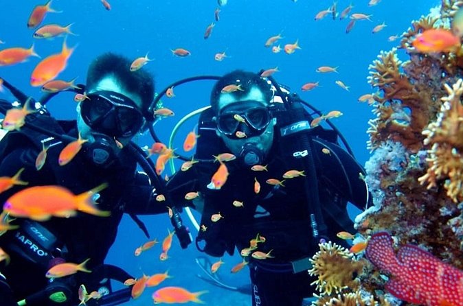 Scuba Diving Tour - Lunch onboard: included, filling, and timed for the day