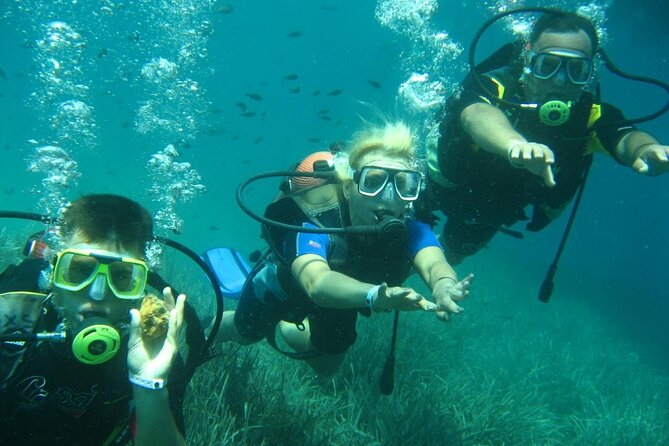 Scuba Diving Tour - What to bring for comfort: towels, swimwear, and sun protection