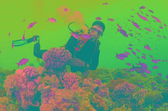 Scuba Diving Tour - A quick reality check on the full schedule