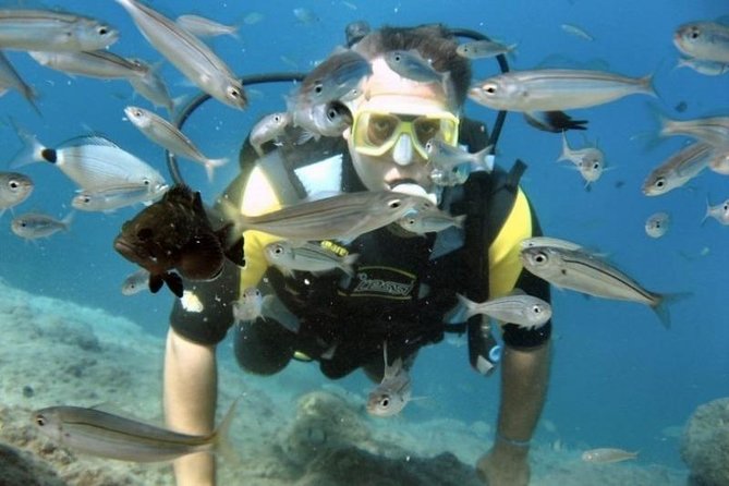 Scuba Diving Tour From Kusadasi / Selcuk - Snorkel, sunbathe, and lunch: the boat portion is the bonus