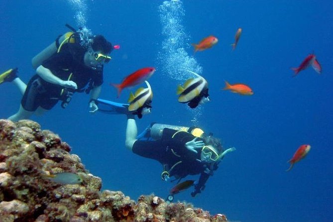 Scuba Diving Tour From Kusadasi / Selcuk - Equipment, insurance, and the extras that change the cost