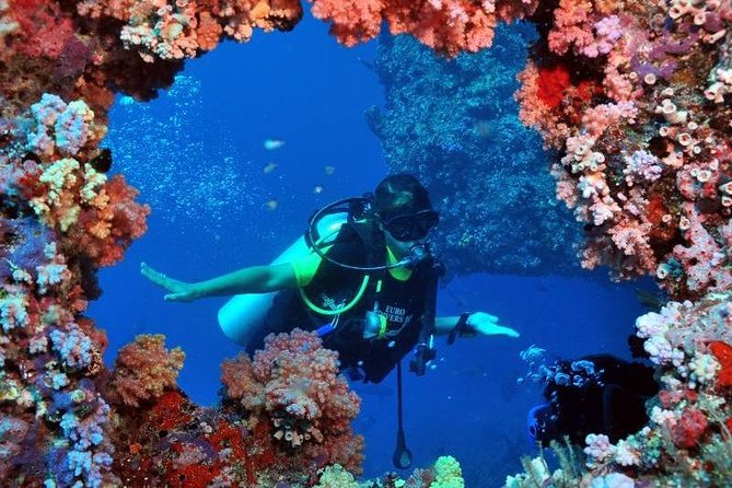 Scuba Diving Tour From Kusadasi / Selcuk - Price and value: is $91.45 a fair deal for you?