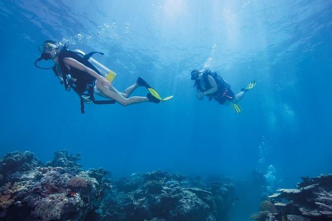 Scuba Diving Tour From Kusadasi / Selcuk - Who should book this (and who should think twice)?