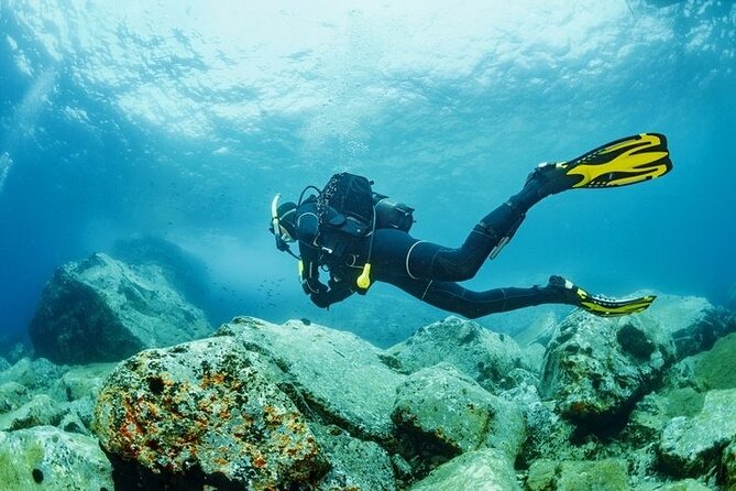 Scuba Diving Tour From Kusadasi / Selcuk - The short on-boat training that helps first-timers