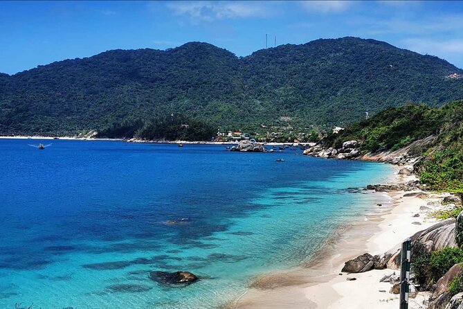 Scuba Diving Tour in Cham Island for certified divers or Beginners - Key highlights to look for