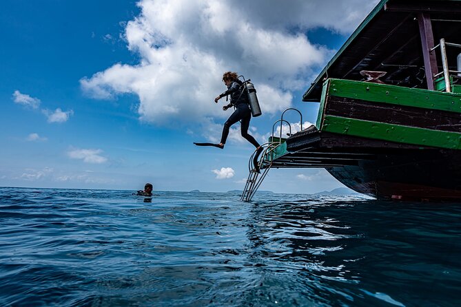 Scuba Diving Tour in Cham Island for certified divers or Beginners - Cham Islands from Hoi An: the easy way to see protected sea life