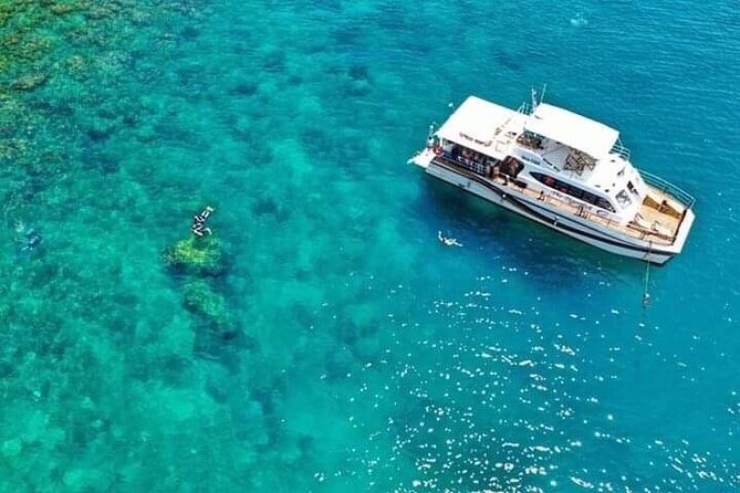 Scuba Diving Tour in Cham Island for certified divers or Beginners - Guides, photos, and insurance: fewer worries, more focus