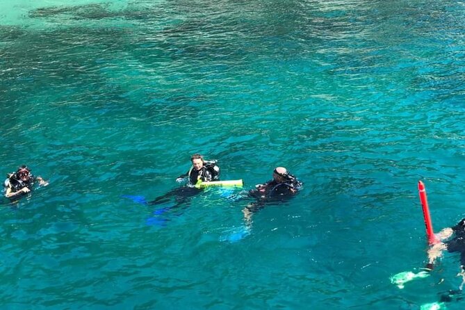 Scuba Diving Tour in Cham Island for certified divers or Beginners - Getting there by speed boat: time on the water starts early