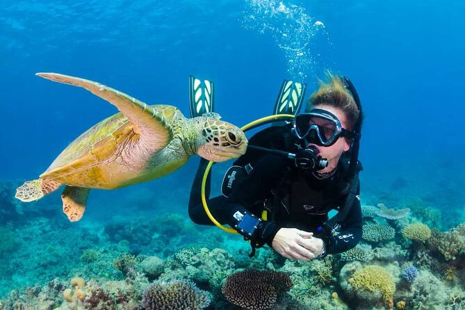 Scuba Diving Tour in Kemer with Lunch and Transfer - Key highlights you should know