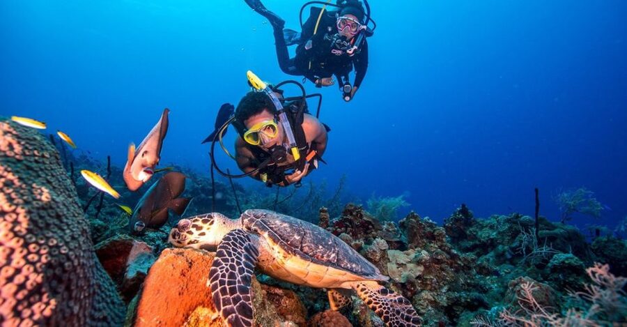 Scuba Diving Tour with Transfer From Alanya and city of Side - Key highlights to notice before you book