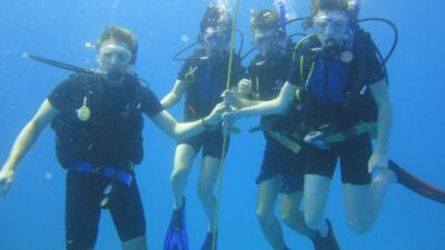 Scuba Diving Tour with Transfer From Alanya and city of Side - Equipment and safety: well-maintained gear with real-world checks