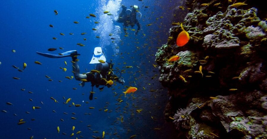 Scuba Diving Tour with Transfer From Alanya and city of Side - Who should book this scuba session—and who should skip it