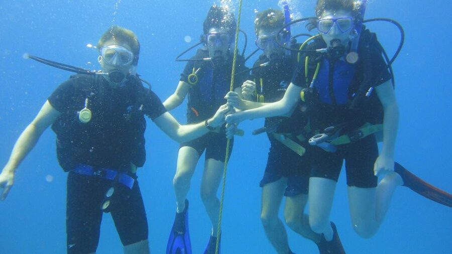 Scuba Diving Tour with Transfer From Alanya and city of Side - Equipment and safety: well-maintained gear with real-world checks