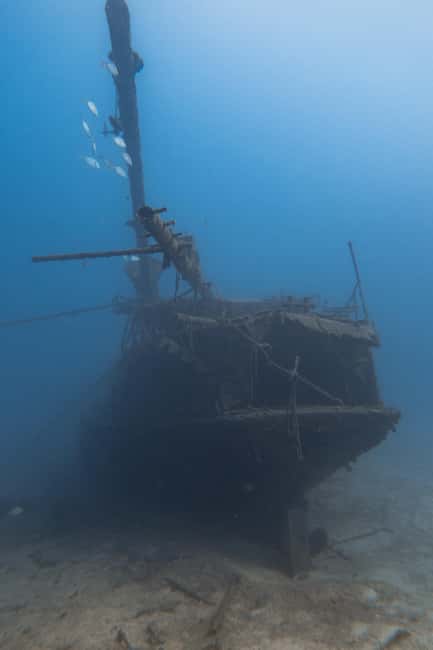 Scuba Diving trips for Certified Divers in Tenerife - Practical Tips Before You Go
