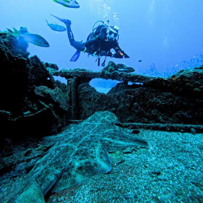 Scuba Diving trips for Certified Divers in Tenerife - The Group Experience: How Staff Really Changes the Day