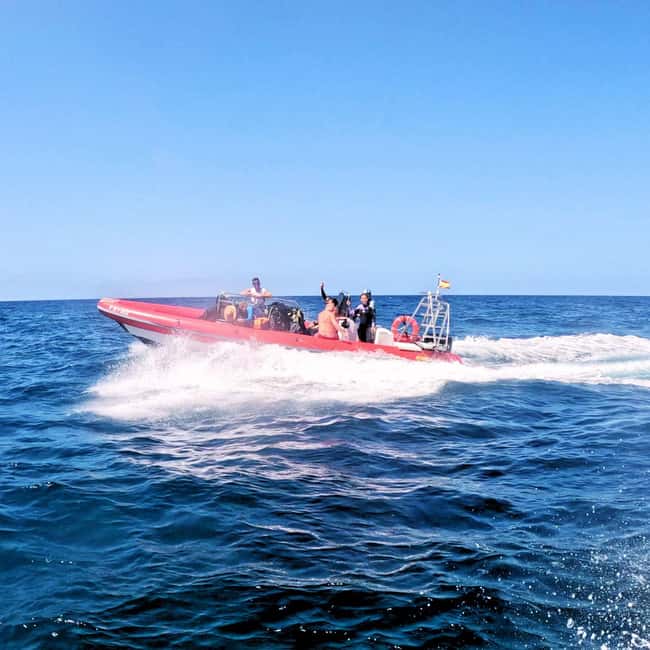 Scuba Diving trips for Certified Divers in Tenerife - Price and Value: Is $64 a Fair Deal for 150 Minutes?