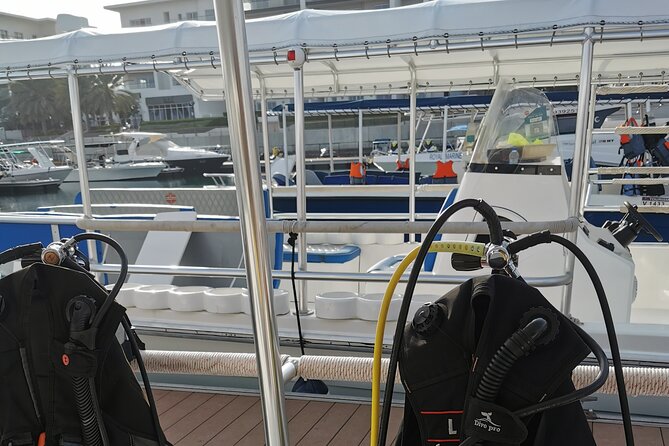 Scuba Diving Trips to Dimaniyat Islands - Gear, Life Jackets, and Permits: What’s Included and Why It Helps