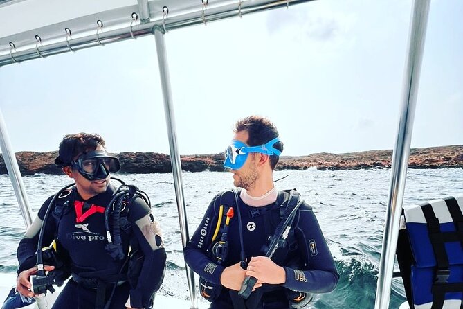 Scuba Diving Trips to Dimaniyat Islands - Underwater Encounters You Can Reasonably Expect