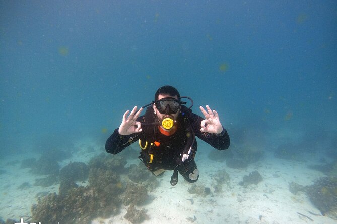 Scuba Diving Trips to Dimaniyat Islands - Small-Group Format (Max 15): Where the Value Shows Up