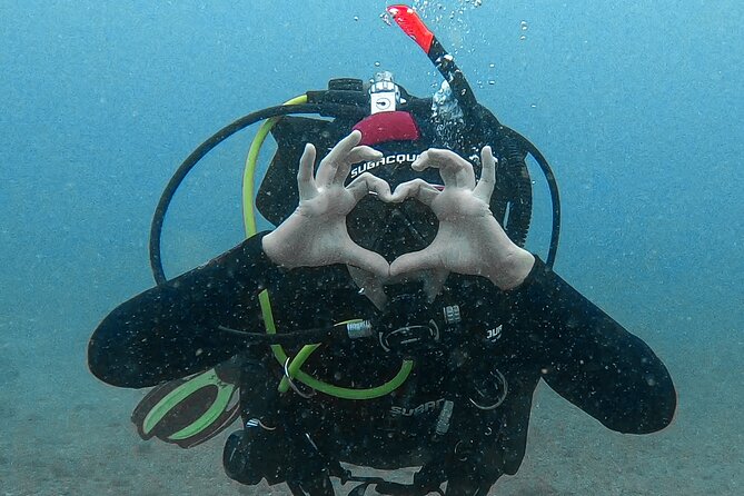 Scuba Diving try dive in Fuerteventura - Key things to know before you go