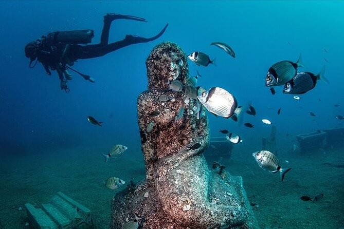 Scuba Diving Under Water Museum - Lunch Between Sessions: Why the Break Is Part of the Plan