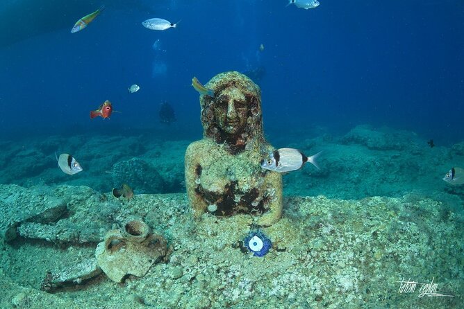 Scuba Diving Under Water Museum - Equipment and Insurance: The Small Details That Actually Decide Comfort