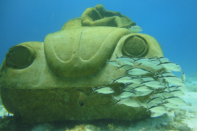 Scuba Diving Under Water Museum and Reef for beginners - The full 5-hour flow: from morning briefing to warm ocean water