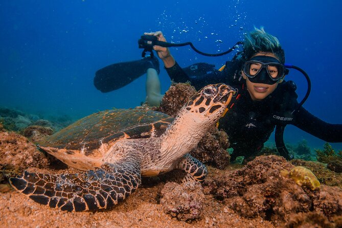 Scuba Diving with a 5-Star PADI Center in Puerto Vallarta - Stop 1: Bay of Banderas and Las Caletas—tunnels, reefs, and the “near-dock” factor