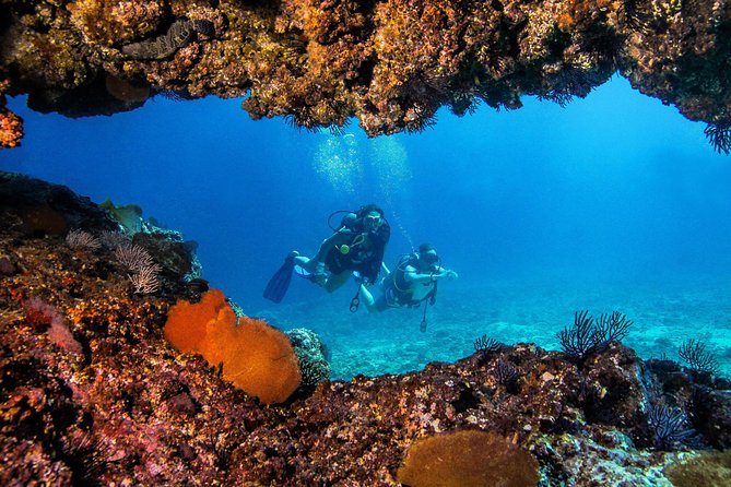 Scuba Diving with a 5-Star PADI Center in Puerto Vallarta - Guides, equipment, and safety: how the best days feel